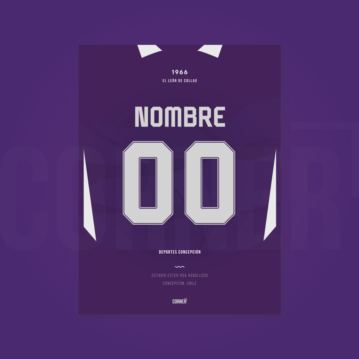 Cuadro personalizado camiseta Deportes Concepción