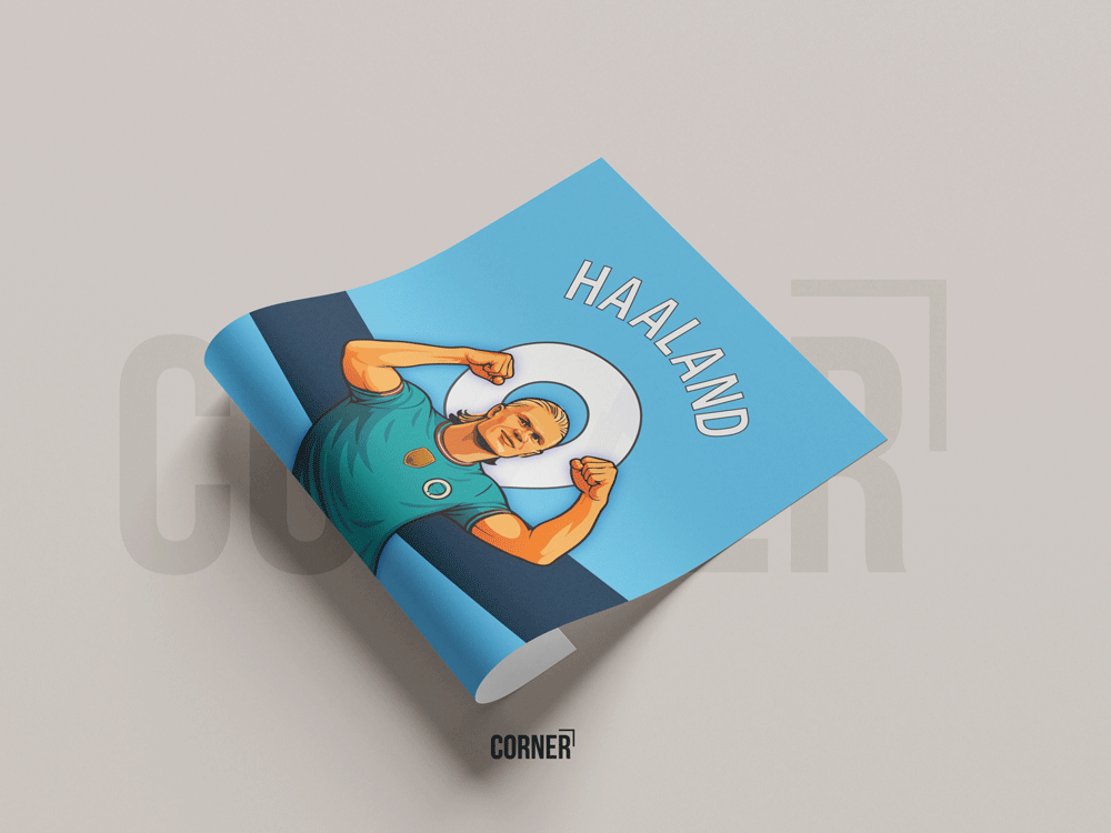 Cuadro Erling Haaland