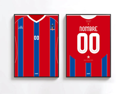 Cuadro personalizado camiseta Colo-Colo 2025