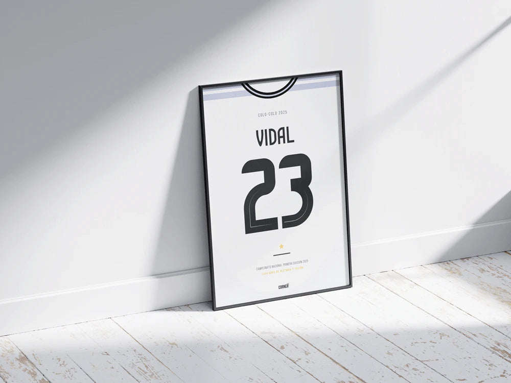 Cuadro camiseta Colo-Colo 2025