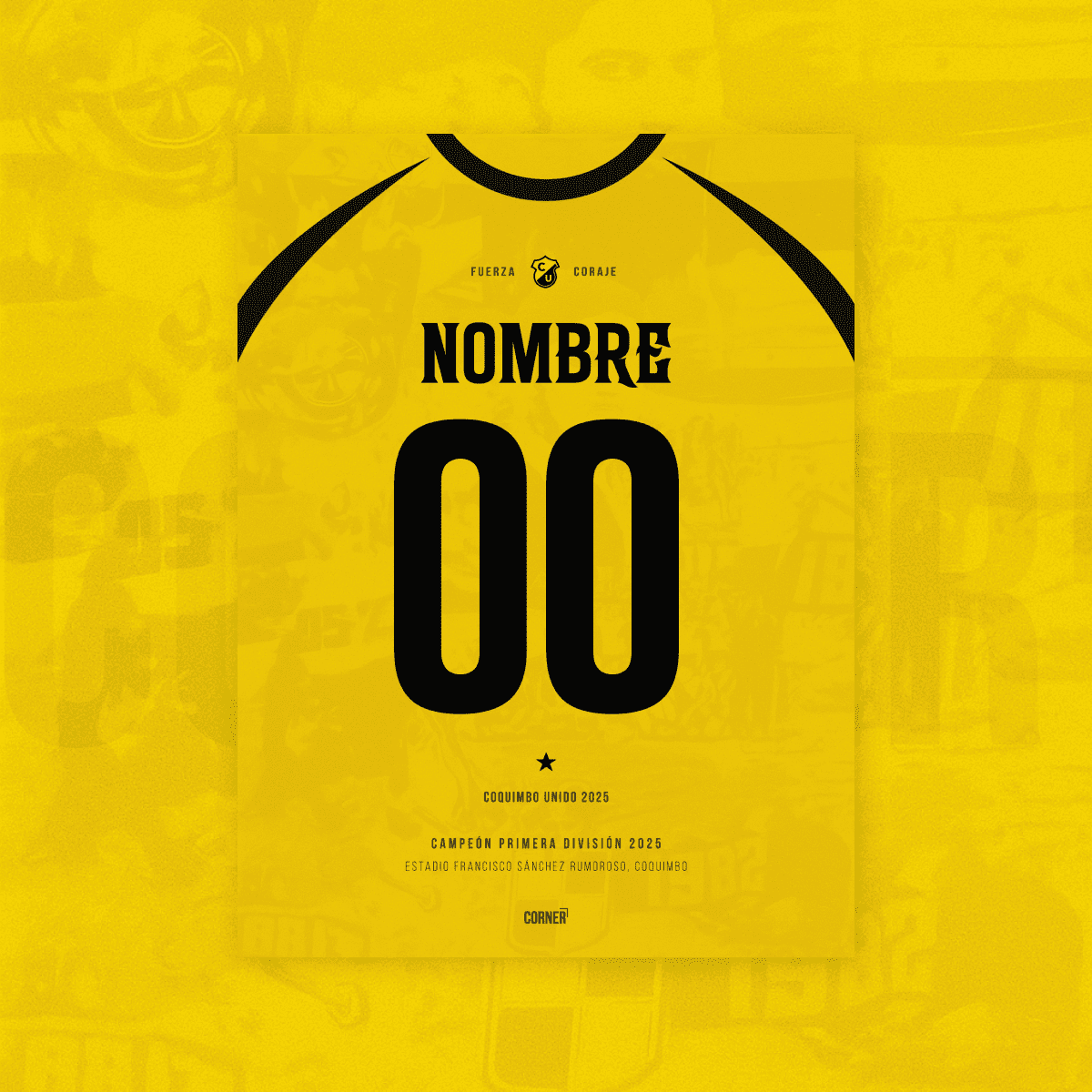 Cuadro personalizado camiseta Coquimbo Unido