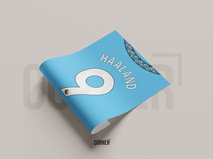 Cuadro camiseta Manchester City