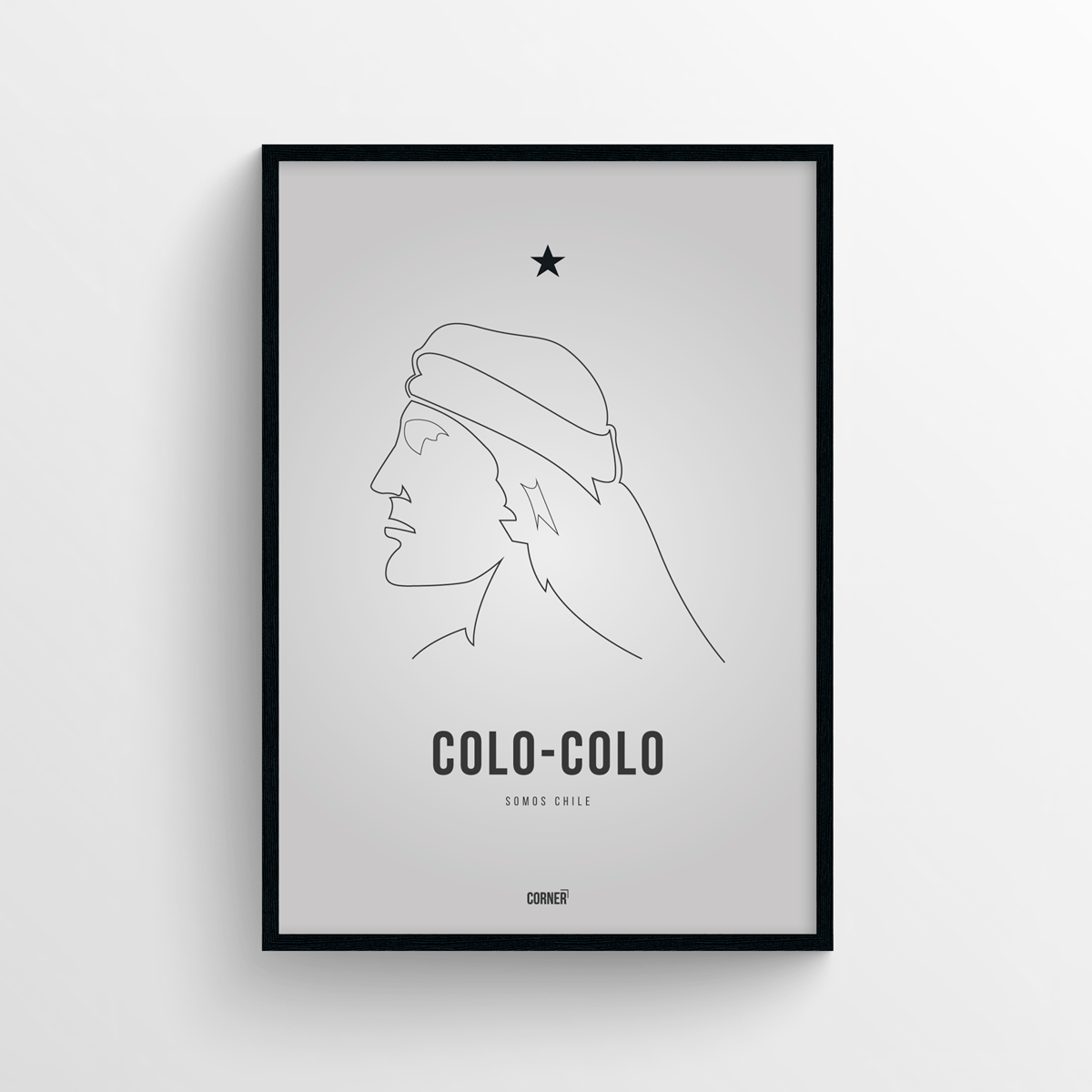 Cuadro club Colo-Colo