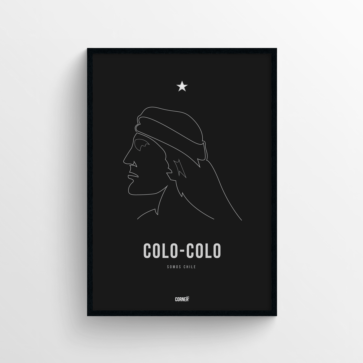 Cuadro club Colo-Colo