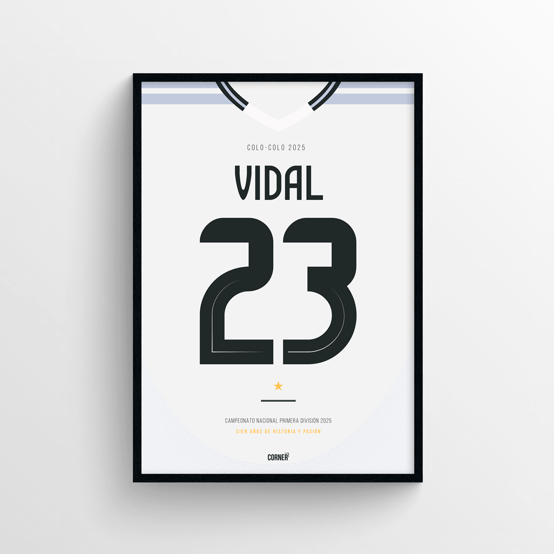 Cuadro camiseta Colo-Colo 2025