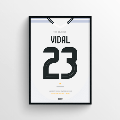 Cuadro camiseta Colo-Colo 2025