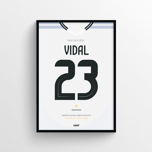 Cuadro camiseta Colo-Colo 2025