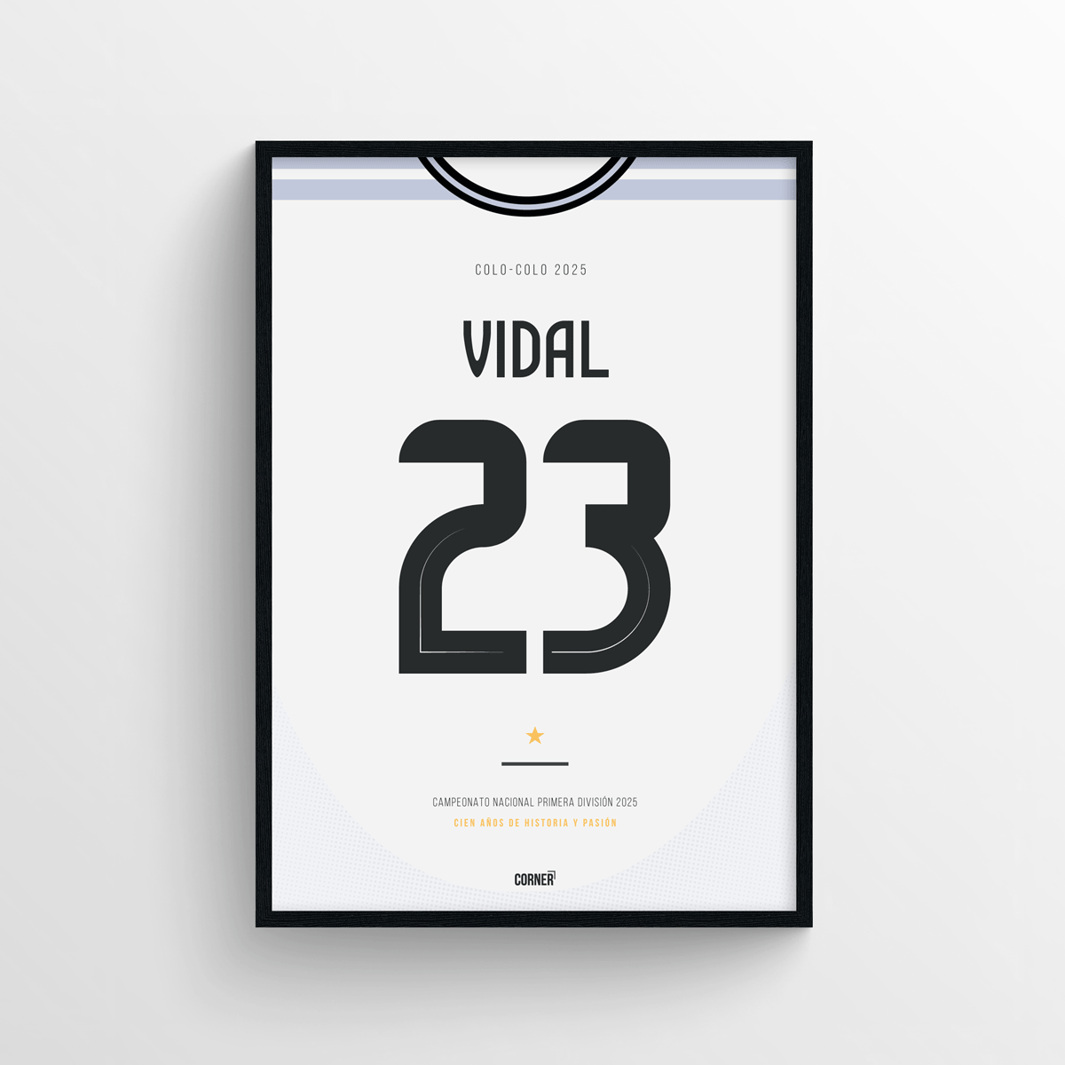 Cuadro camiseta Colo-Colo 2025
