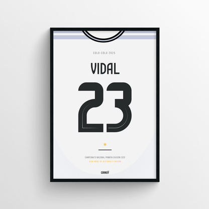 Cuadro camiseta Colo-Colo 2025