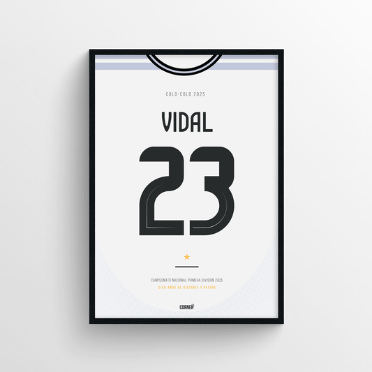 Cuadro camiseta Colo-Colo 2025
