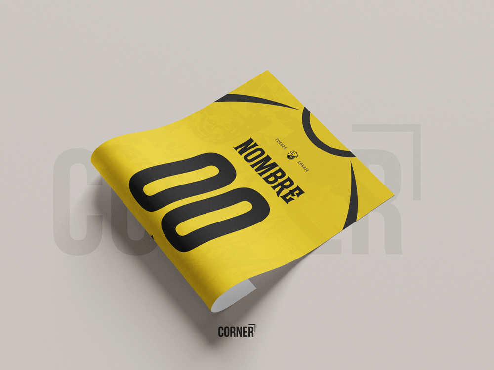 Cuadro personalizado camiseta Coquimbo Unido