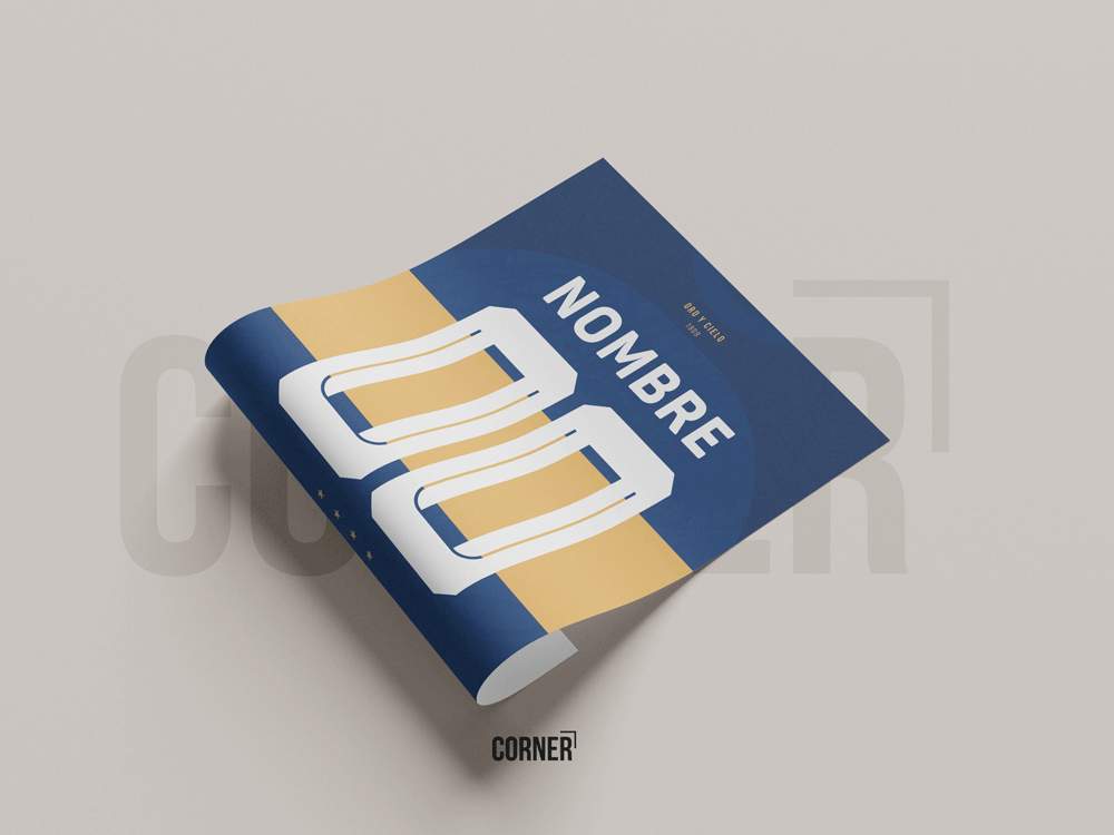 Cuadro personalizado camiseta Everton de Viña del Mar