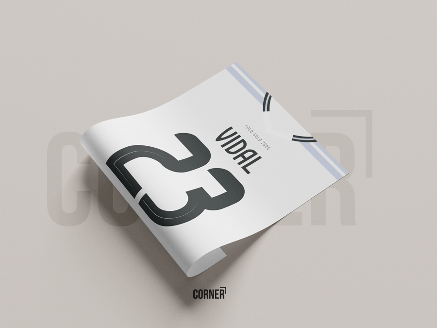 Cuadro camiseta Colo-Colo 2025