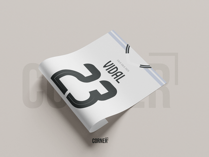 Cuadro camiseta Colo-Colo 2025
