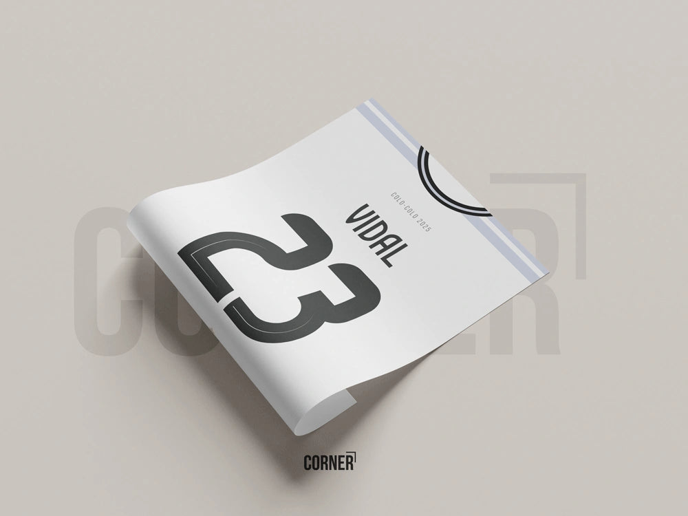 Cuadro camiseta Colo-Colo 2025