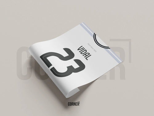 Cuadro camiseta Colo-Colo 2025