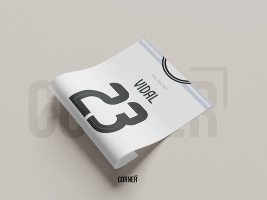 Cuadro camiseta Colo-Colo 2025